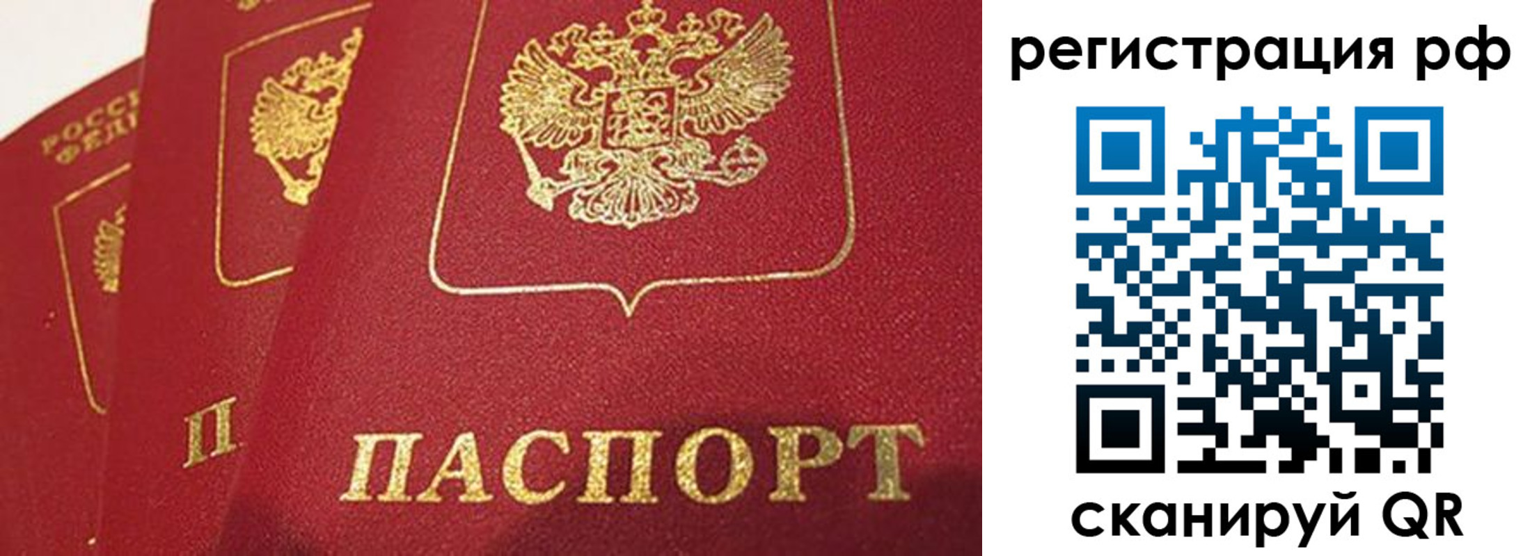 прописка в квартире в Зернограде